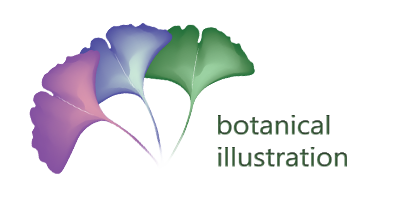 botanic-illustration
